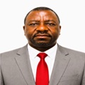Dr Gwinyai Makuyana - Four Doctoral Qualifications | Four Master's Degrees | B. Tech engineering - Electrical Engineering | Apprenticeship Trained electrical professional | Chartered Engineer | PgMP | PMP | CHFE | LCGI Licensed Career Development Practitioner and Executive Workforce Consultant — Vocational Assessment, Talent Mapping, and Leadership Coach.